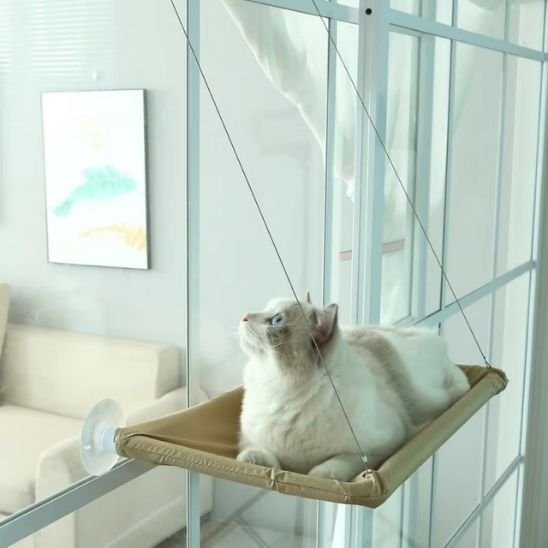 Chat blanc et beige allongé sur un hamac pour chats, regardant vers le haut de la maison