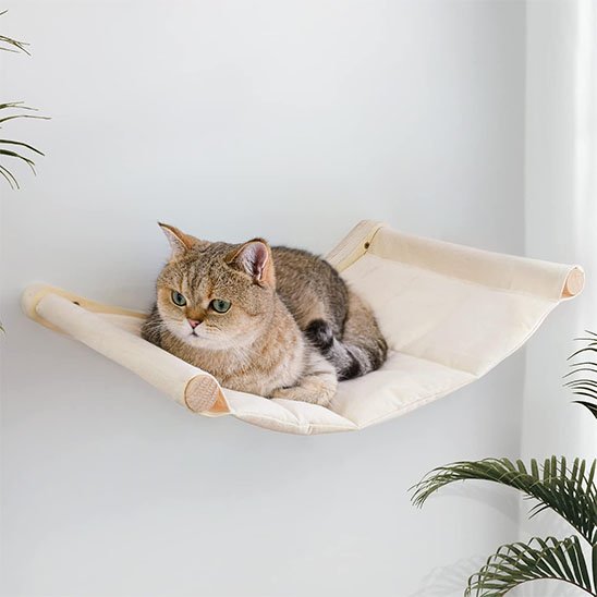 Chat calme et apaisé sur un hamac chat