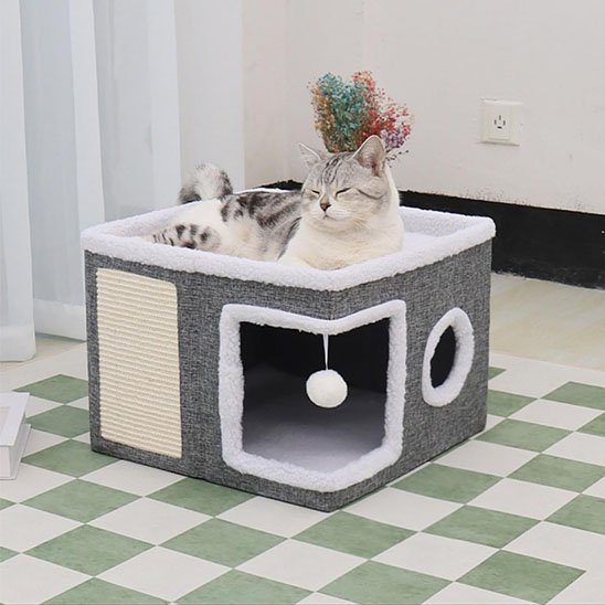 Chat endormis dans une maison pour chat