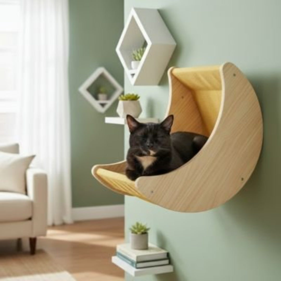 Chat noir et blanc confortablement installé dans un hamac chat en bois