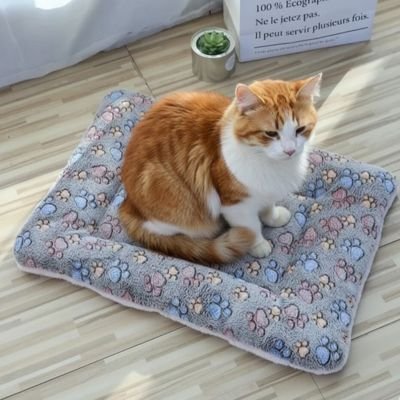 Chat roux et blanc assis sur un tapis chat douillet gris à motifs de pattes colorées