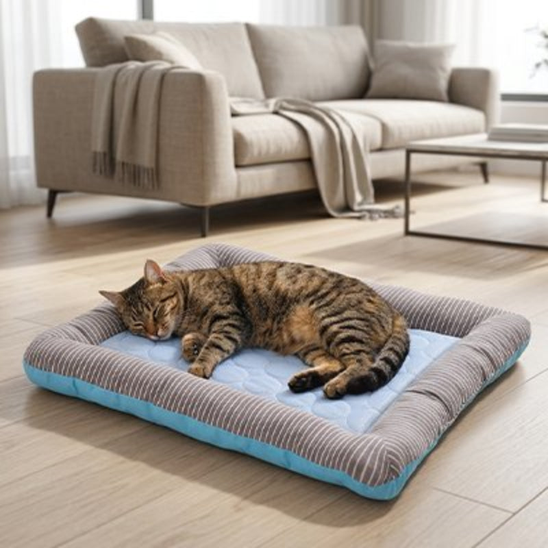 Chat gris tigré endormi paisiblement sur un tapis rafraichissant chat