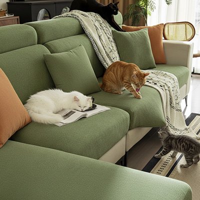 Quatre chats s'amusent sur un grand canapé d'angle beige équipé d'une protection canapé chat vert