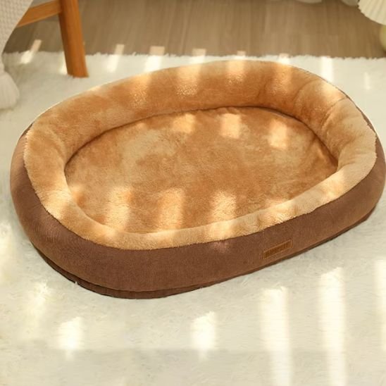 Coussins à chat ovale avec intérieur beige posé sur un tapis dans un intérieur lumineux
