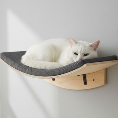 Chat blanc calme et apaisé sur un hamac chat