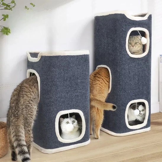 les chats s'amusent dans les maisons pour chat