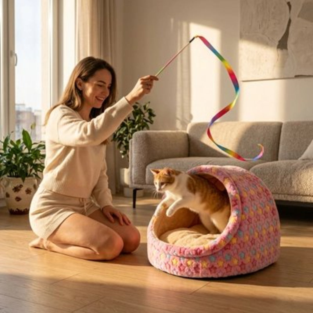 Une femme fait bouger un ruban pour amuser son chat blanc et roux, qui bondit hors d'une niche pour chat rose