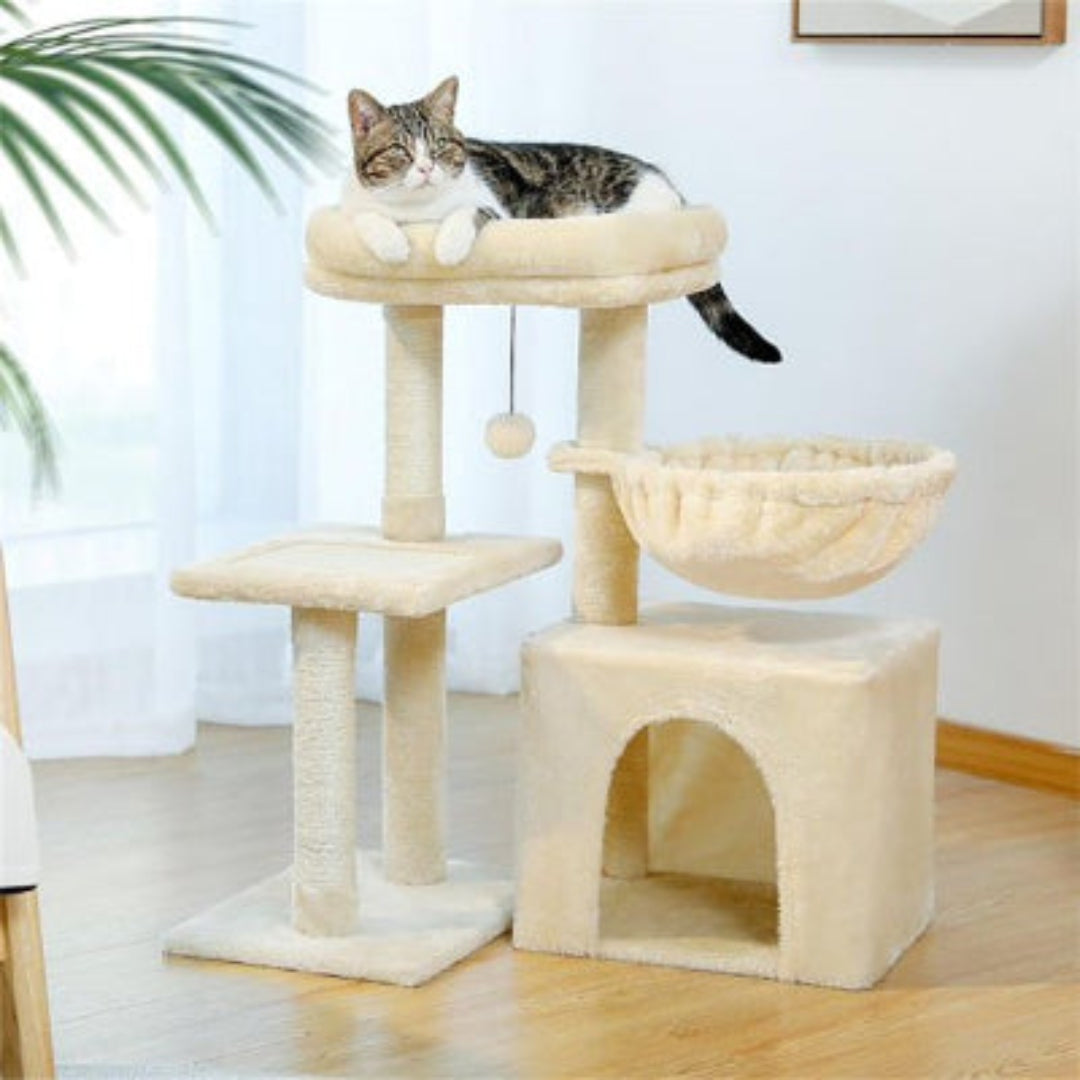 Petit arbre a chatâ multi-niveaux en peluche beige, posĂ© sur un parquet en bois dans un intĂ©rieur lumineux