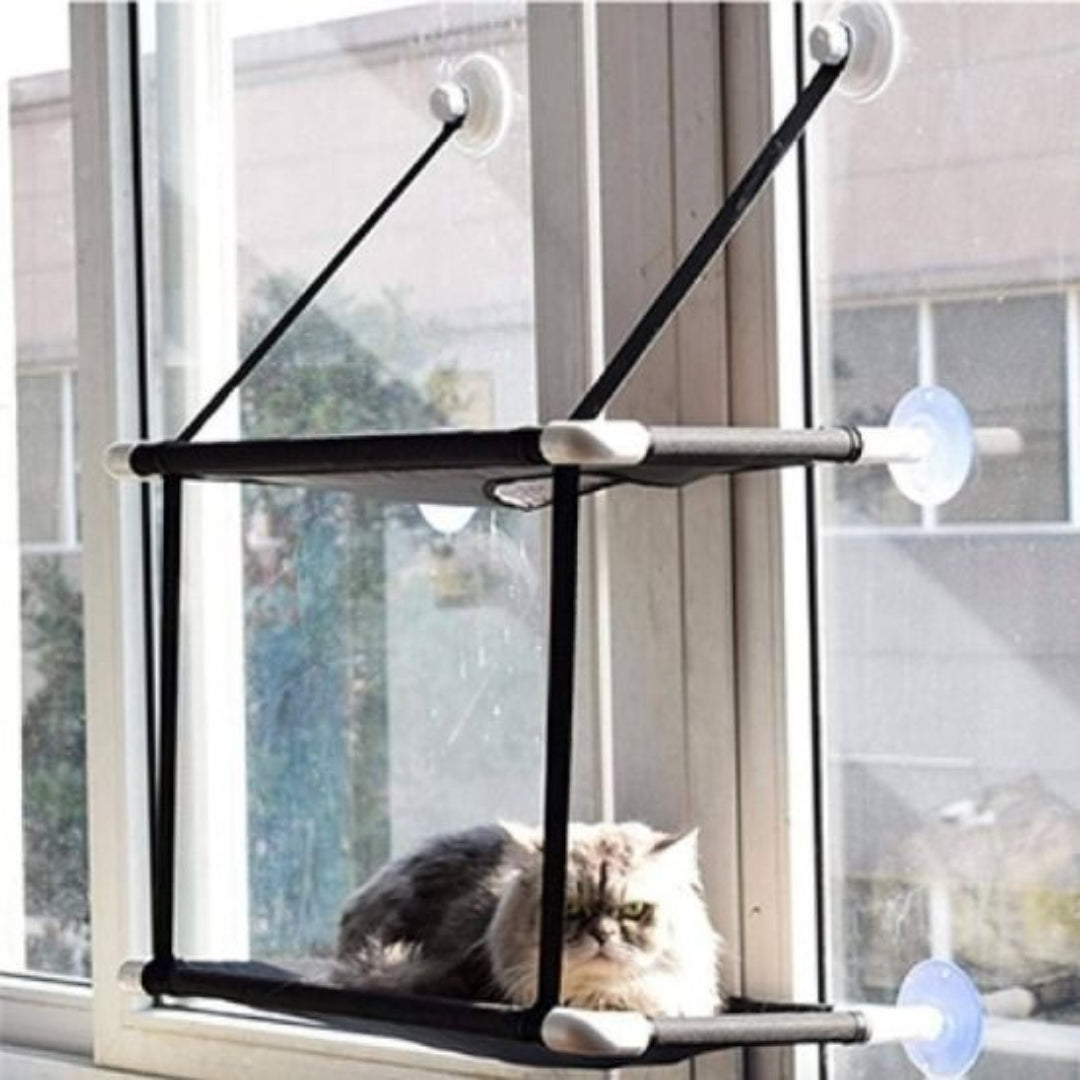 Un chat calme et apaisé sur un hamac chat fenetre