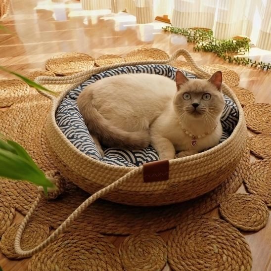 Un chat de couleur crème est confortablement installé dans un lit pour chat