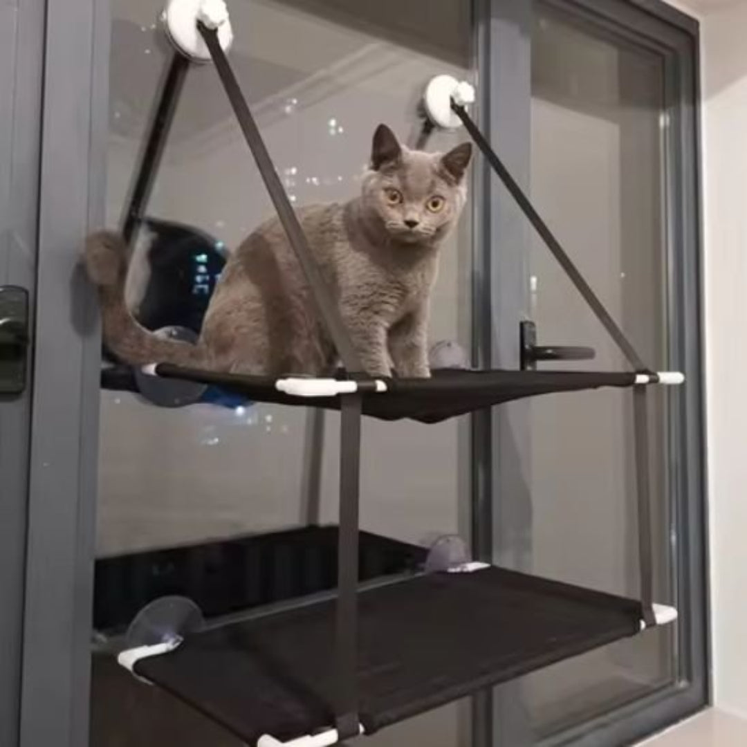 Un chat installé dans un hamac chat fenetre en position de surveillance