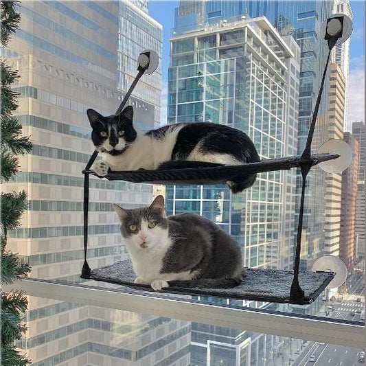 Hamac  Chat
