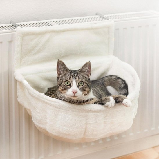 hamac radiateur pour chat