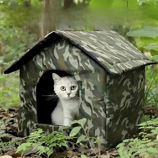 Chat dans niche extérieure