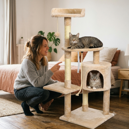 Arbre pour chat dans une chambre