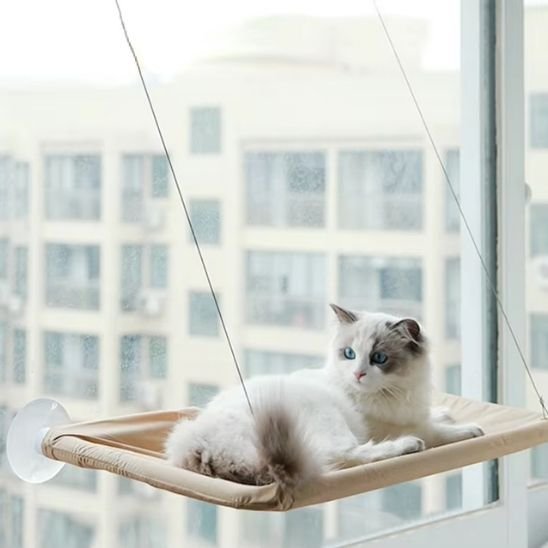 Chat repose sur un hamac pour chats