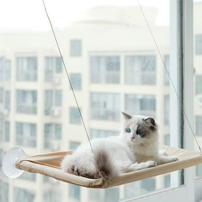 Chat repose sur un hamac pour chats