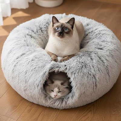 Chat siamois installé sur une niche pour chat en peluche grise et chat bicolore endormi à l'intérieur
