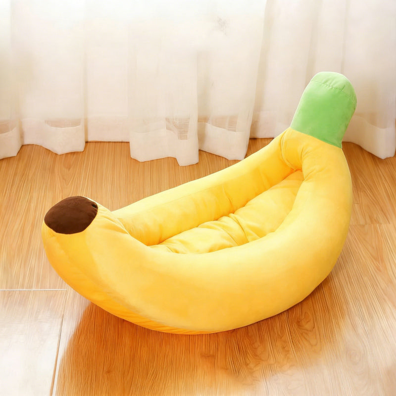 Coussin pour chat dans un salon