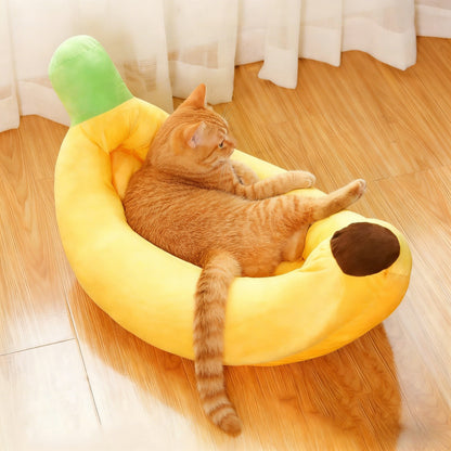 Chat roux dans un coussin pour chat