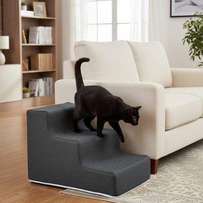 Escalier pour chat Confort et Sécurité dans un salon