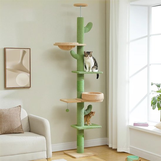 Arbre a chat pour exterieur en forme de cactus vert, avec plusieurs plateformes et paniers où se trouvent deux chats dans un salon.