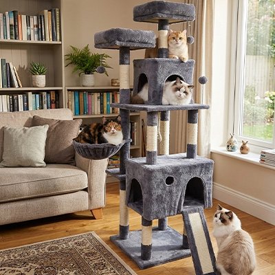 Arbre a chats multi-niveaux en peluche gris foncé installé dans un salon chaleureux avec quatre chats profitent de la structure