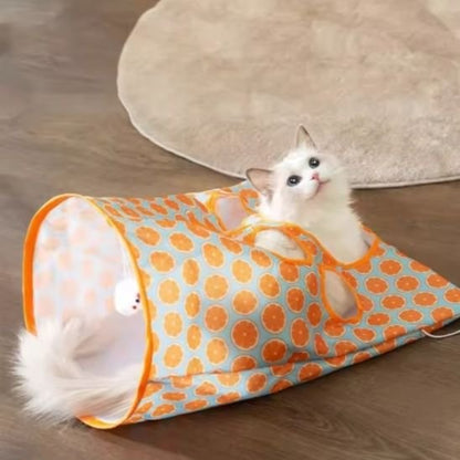chant blanc dans un tunnel chat