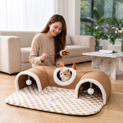 chat à l'intérieur de tunnel du chat