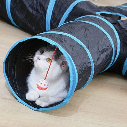 Chat à l'intérieur du tunnel pour chat 
