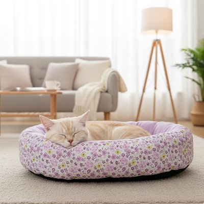 Chat à poil court de couleur crème et roux clair dort paisiblement dans un coussin pour chat