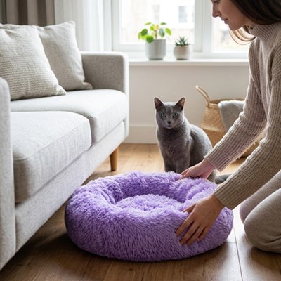 Un chat gris à poil court est assis juste derrière le Coussin Chat de couleur mauve