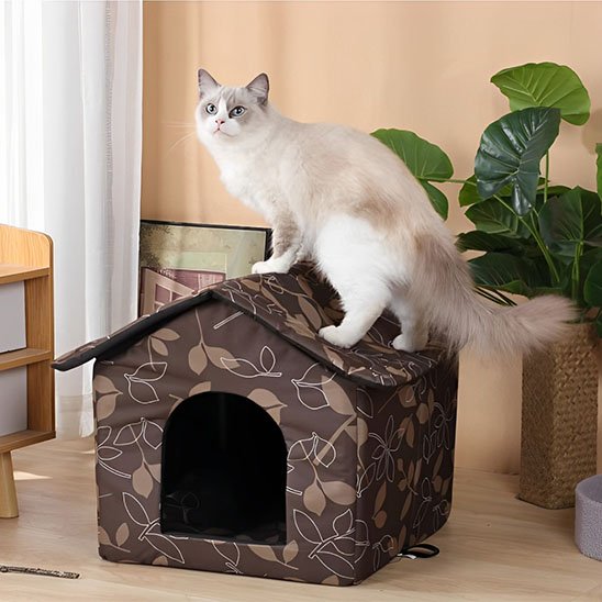 Chat à poil long posé sur le toit d'une niche exterieur pour chat marron à motifs de feuilles
