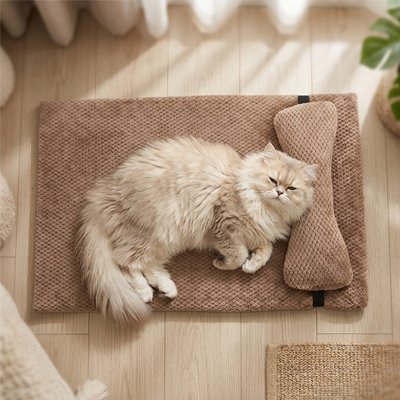 chat à poils longs couché confortablement sur un lit chat