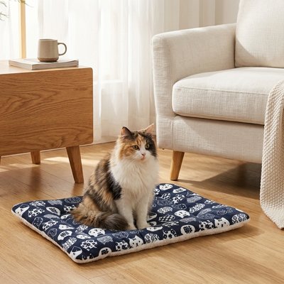 Chat à poils longs assis sur un tapis chat matelassé bleu marine dans un salon moderne