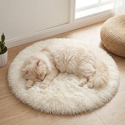 Chat à poils longs endormi sur un tapis pour chat rond en peluche blanche