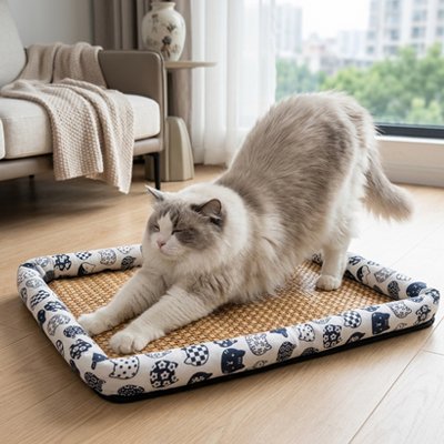 Chat à poils longs qui s'étire sur son nouveau tapis rafraichissant chat