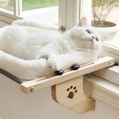 Chat allongé dans un hamac pour chat fenetre, observant l’extérieur en toute détente