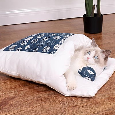 Chat allongé dans un lit pour chat blanc et bleu avec motif de chats posé sur plancher en bois