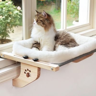  Chat allongé dans un hamac pour chat fenetre , observant l’extérieur en toute détente.