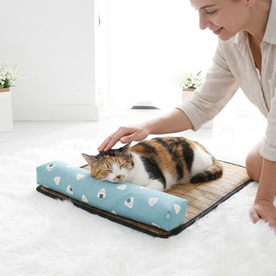 Une femme caresse un chat allongé sur un tapis rafraichissant chat