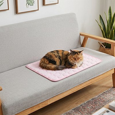 Chat tricolore allongé confortablement sur un tapis posé sur tapis rafraichîssant chat