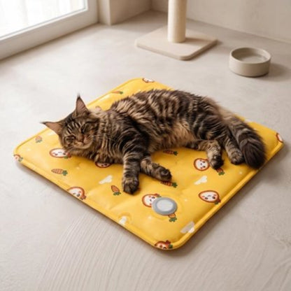 chat allongé sur tapis rafraichissant chat