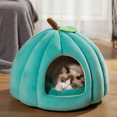 Chat bicolore endormi dans une niche pour chat en forme de citrouille bleu turquoise
