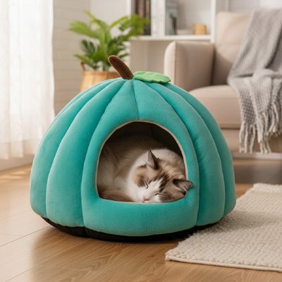 Chat bicolore endormi paisiblement dans une niche pour chat en forme de citrouille bleu turquoise
