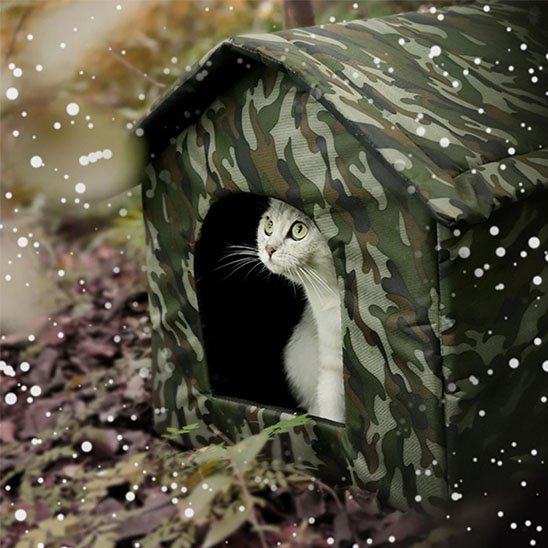 Chat blanc à l'abri dans une niche exterieur pour chat au motif camouflage sous la neige