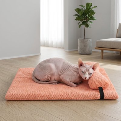 Chat blanc à poil court allongé paisiblement sur un lit chat de couleur rose