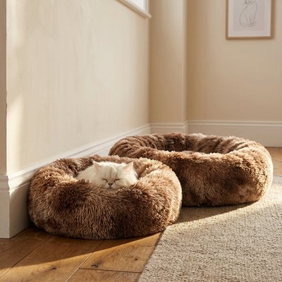 Chat blanc à poils longs dort profondément sur un coussin pour chat, à côté duquel se trouve un autre 