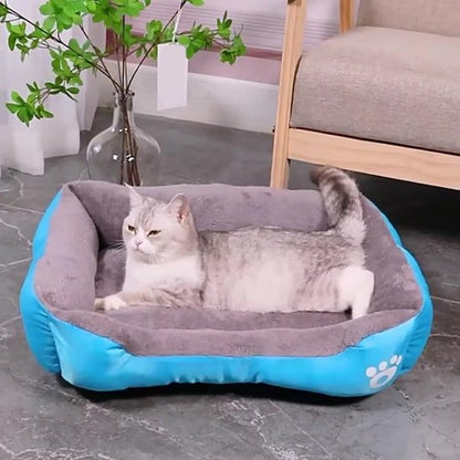 Un chat gris et blanc allongé paisiblement dans un panier chat gris avec bordure bleue