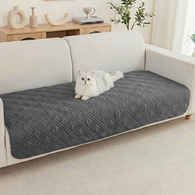 Chat blanc allongé  sur une protection canapé chat grise pour canapé beige